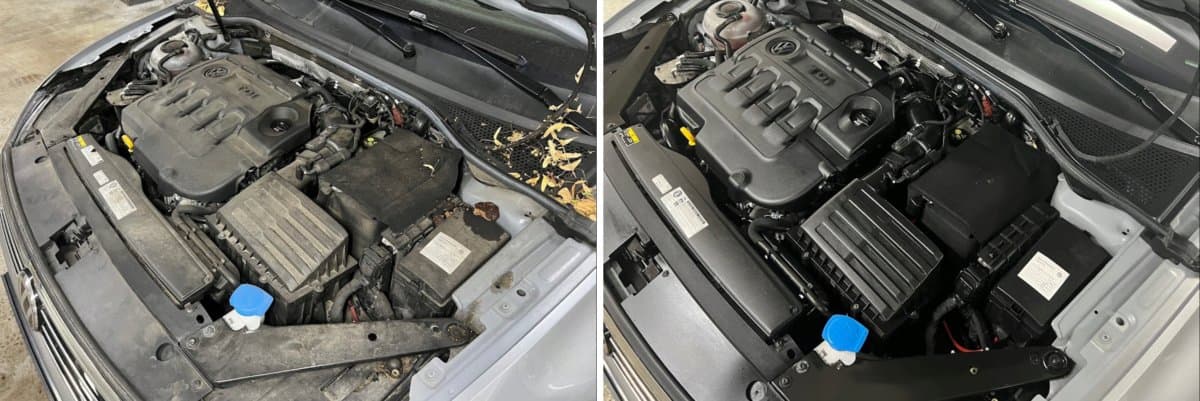 Vorher und Nachher: verstaubter Motorraum und derselbe Motorraum nach der Motorwäsche